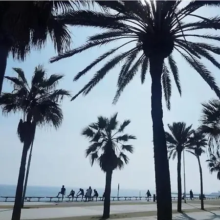 Confort En Playa, 3 Drm 公寓 巴塞罗那