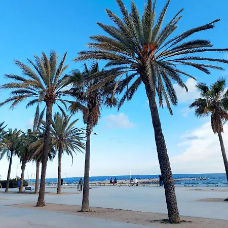 Confort En Playa, 3 Drm 公寓